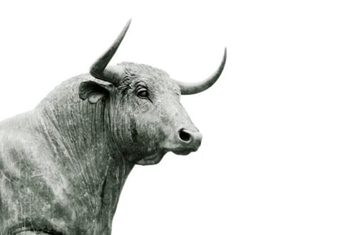 How to Invest in Stocks and Bonds in Nigeria