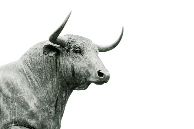 How to Invest in Stocks and Bonds in Nigeria