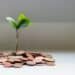 Savings with PiggyVestftalk.space
